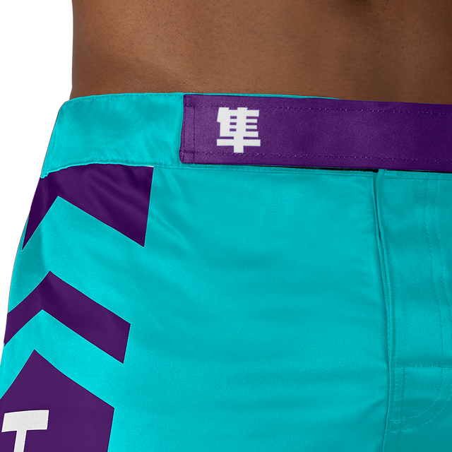 Hayabusa MMA-shorts Icon Lang - Oceangrøn