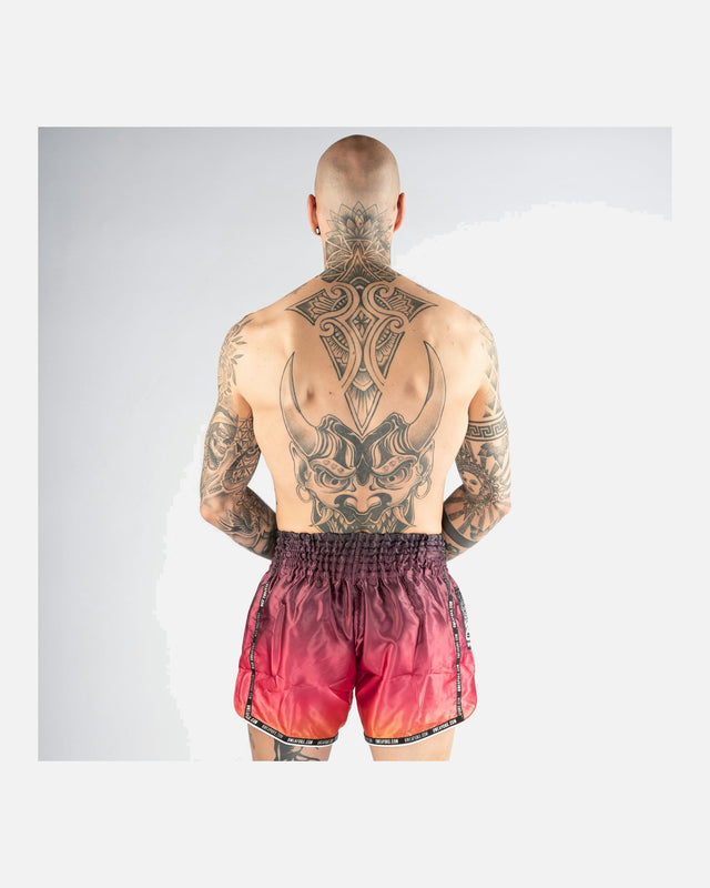 8 WEAPONS Muay Thai shorts Vivo Sunsphere - Multifarvet