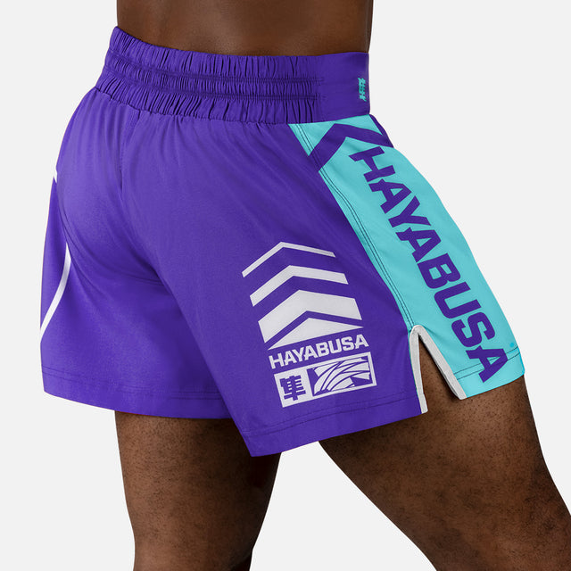 Calções de Muay Thai Hayabusa Icon – Roxo/Branco