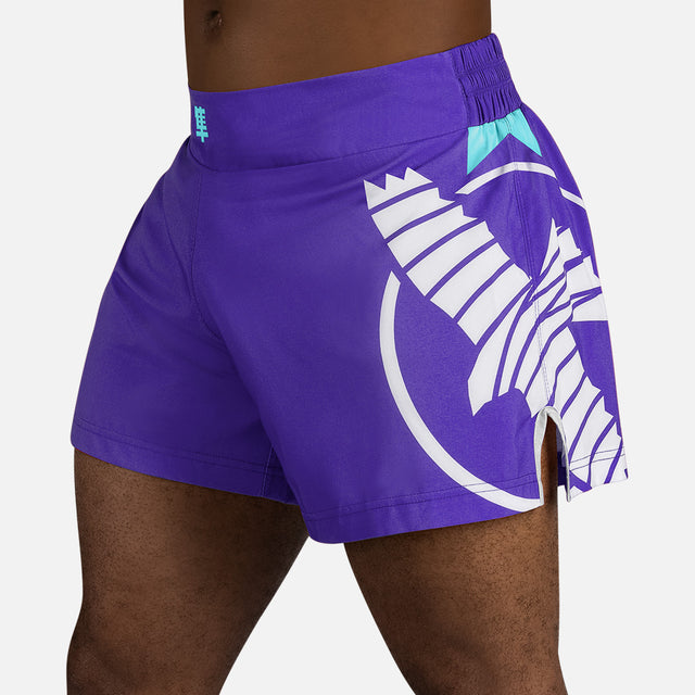Calções de Muay Thai Hayabusa Icon – Roxo/Branco