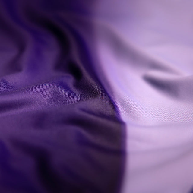Rashguard Hayabusa Apex Nova Maniche Lunghe Bambini - Viola