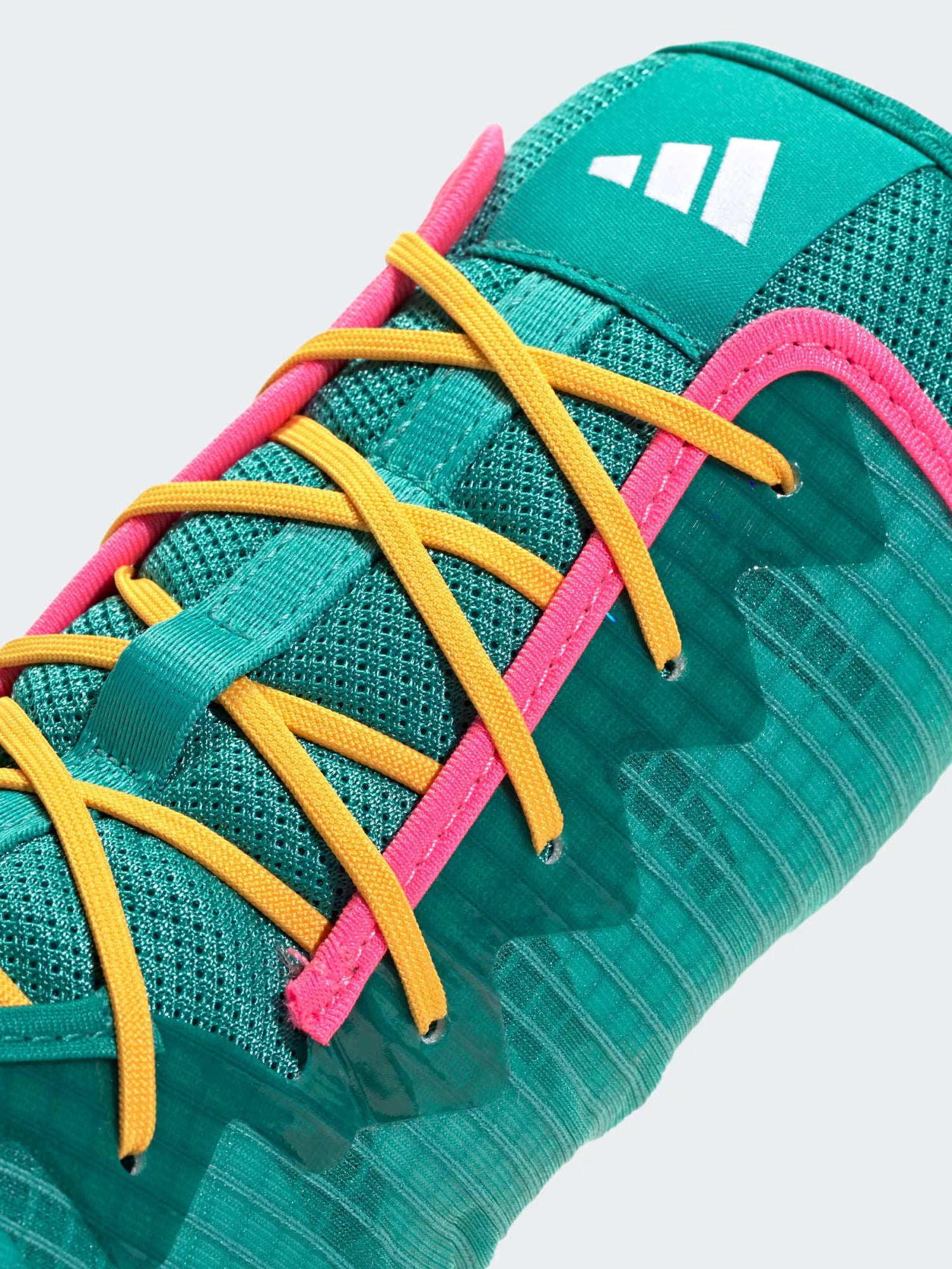 Chaussures de boxe Adidas Box Hog 4 – Vert/Orange/Rose