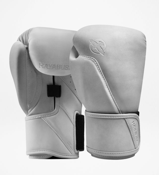 Gants de boxe Hayabusa T360 – Sea Smoke