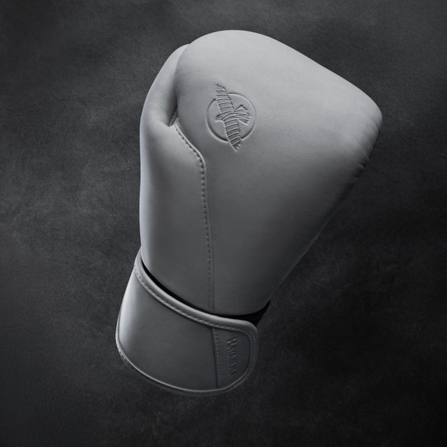 Gants de boxe Hayabusa T360 – Sea Smoke