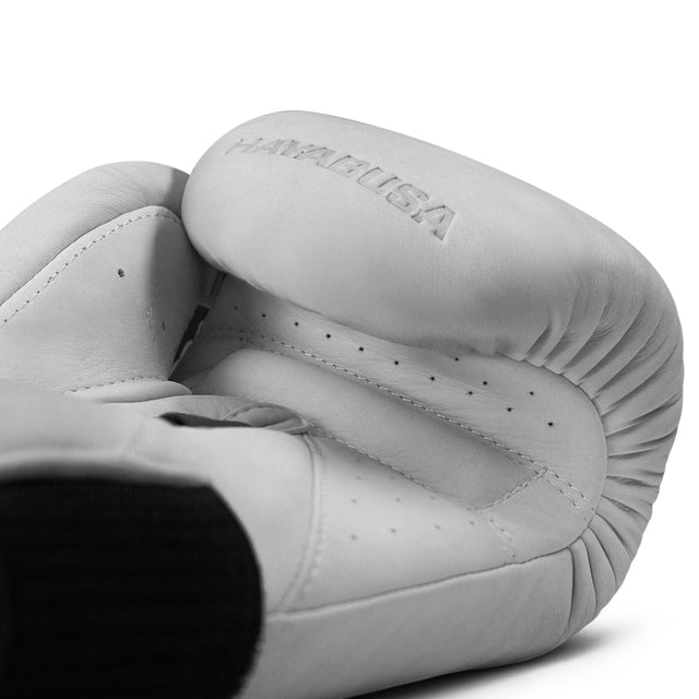 Gants de boxe Hayabusa T360 – Sea Smoke