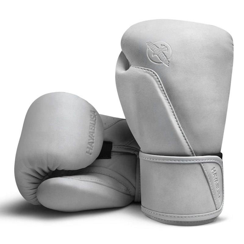 Gants de boxe Hayabusa T360 – Sea Smoke