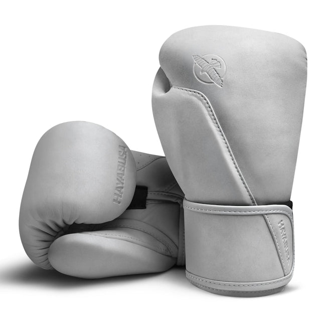 Gants de boxe Hayabusa T360 – Sea Smoke