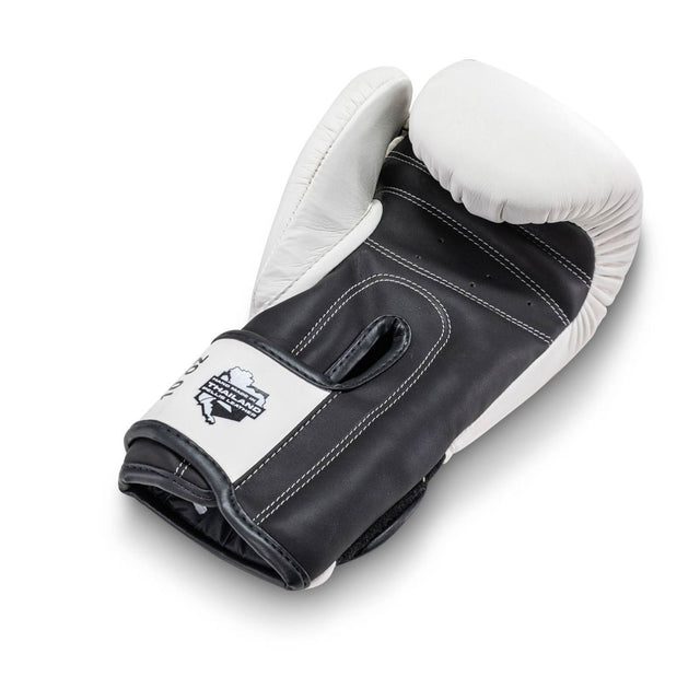 Guantoni da boxe King Pro Boxing BGK1 – Bianco/Nero