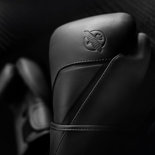 Hayabusa Boxhandschuhe E1 – Schwarz