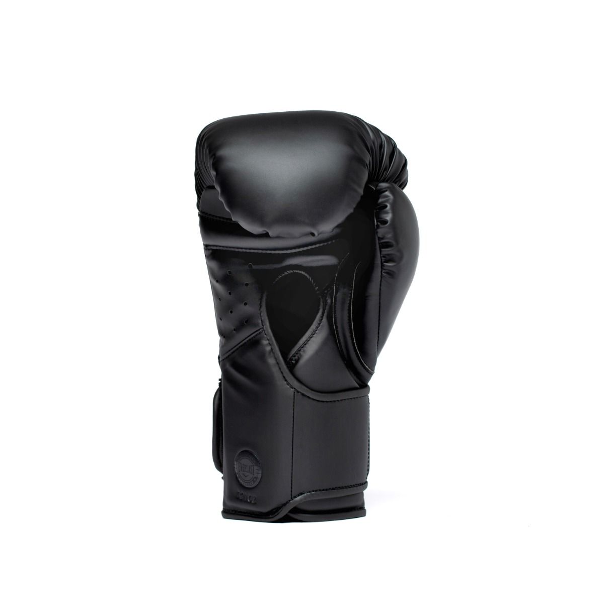 Guantoni da boxe Everlast Elite2 Pro – Nero/Nero