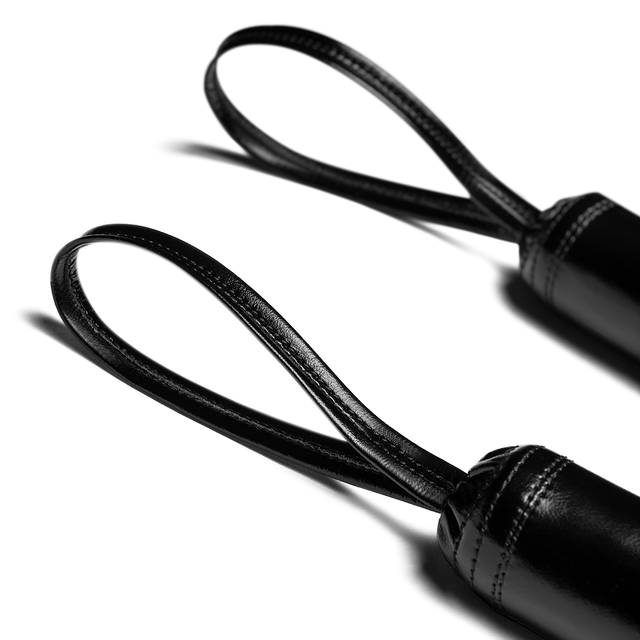 Hayabusa Training Sticks - Sort