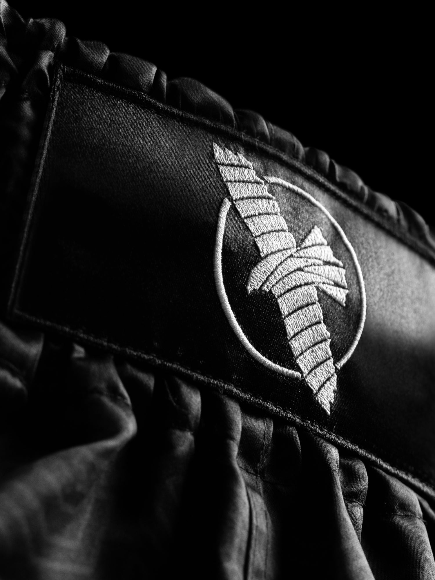 Hayabusa Muay Thai shorts Core – Sort