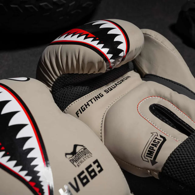 Guantes de boxeo Phantom Fight Squad – Arena