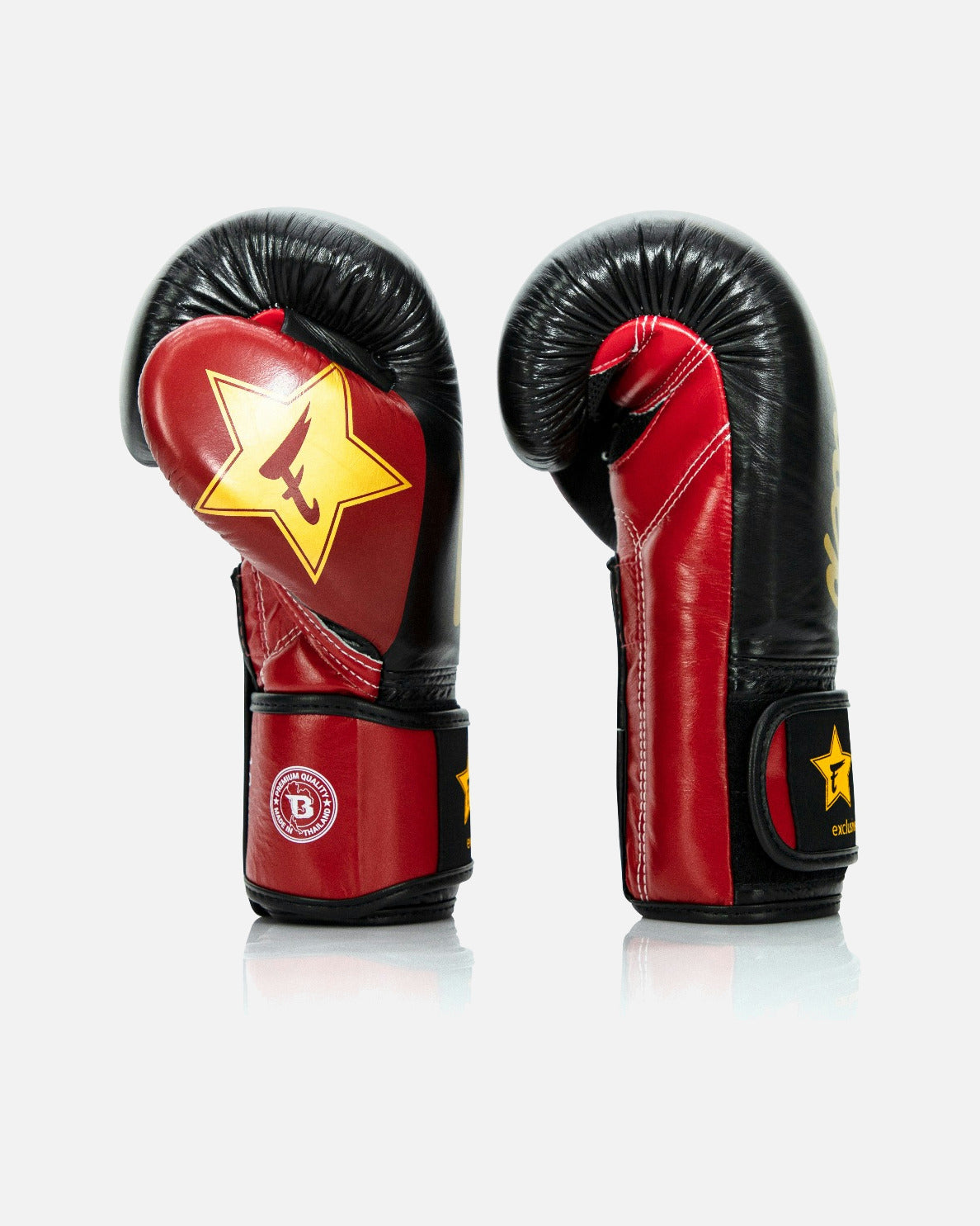 Fairtex Boxhandschuhe FXB V2 – Schwarz