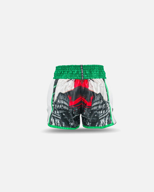 Booster Muay Thai shorts Country - Grøn