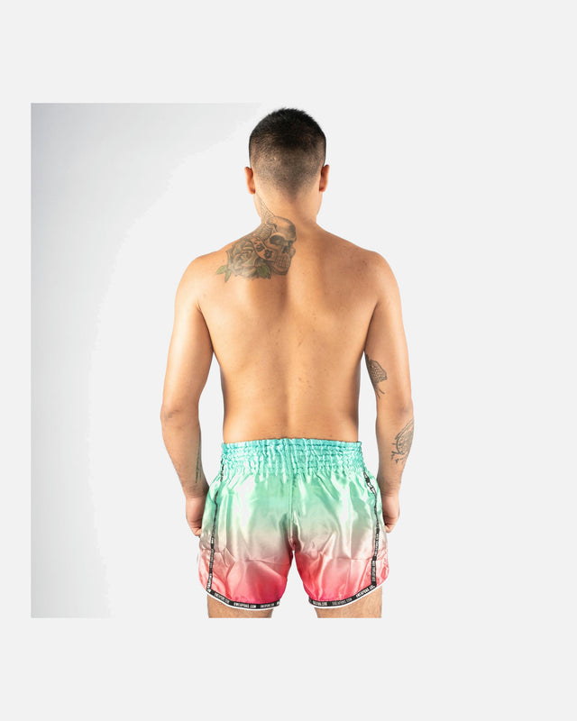 Muay Thai trenky 8 WEAPONS Vivo Mesosphere – Mesosphere