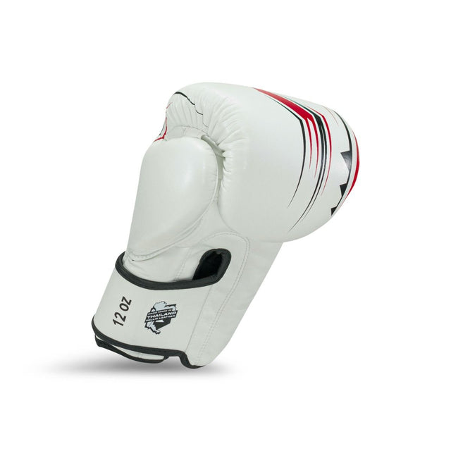 Luvas de boxe King Pro Boxing BG Spartan – Branco/Preto/Vermelho